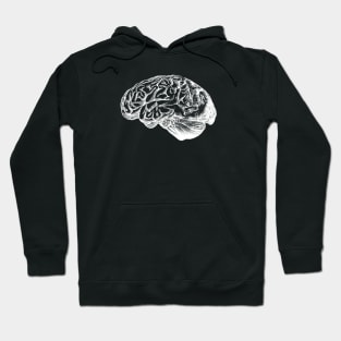 Anatomical Correct Brain Illustration Hoodie